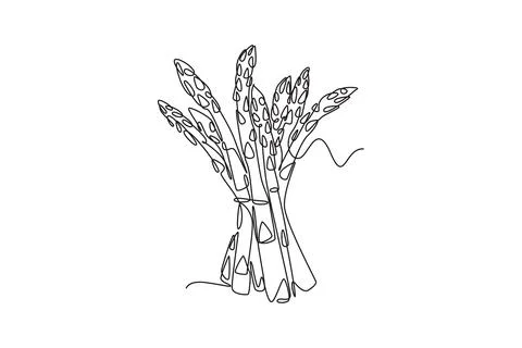 Continuous one line drawing of whole healthy freshness organic asparagus fo.. Stock Illustration