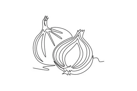 Continuous one line drawing whole and sliced healthy freshness organic bulb.. Stock Illustration