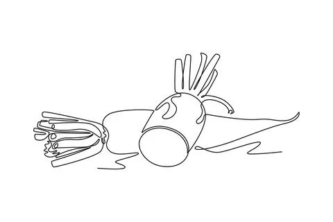 Continuous one line drawing whole and sliced healthy organic white radish f.. Stock Illustration