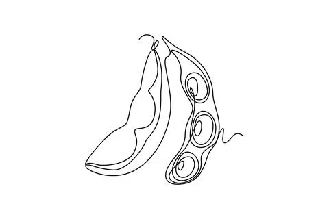 Continuous one line drawing whole healthy organic green edamame for farming.. Ilustração Stock