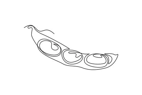 Continuous one line drawing of whole healthy freshness organic green edamam.. Stock Illustration