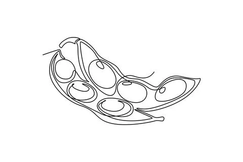 Continuous one line drawing of whole healthy organic green edamame for groc.. Stock Illustration