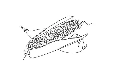 Continuous one line drawing whole and peeled healthy organic sweet corn cro.. Stock Illustration