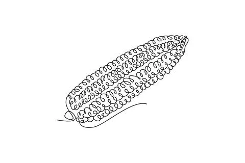 Continuous one line drawing whole peeled healthy freshness organic corn cro.. Stock Illustration