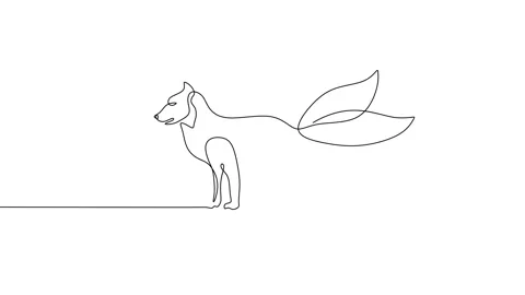 Continuous one line of nine tailed fox isolated on white background. Stock Footage 227568277
