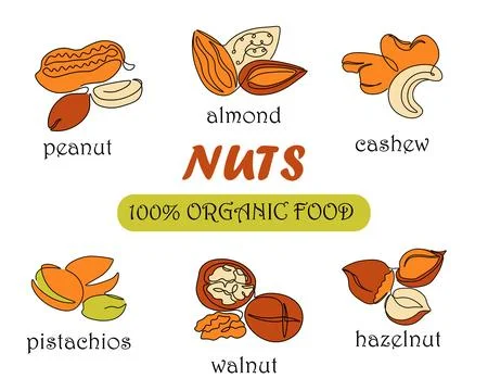 Continuous one line nuts. Organic food. Monoline walnuts and pistachios. He.. Stock Illustration