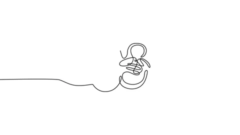 Continuous one line of a pair of baby shoes animation Vidéo 227564597