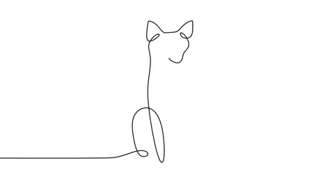Continuous one single line of cute cat sitting isolated on white background. Stock Footage 227558557