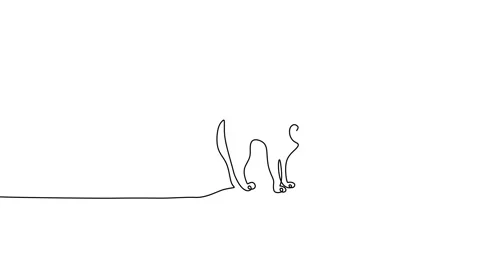 Continuous one single line of cute cat isolated on white background Stock Footage 227577228