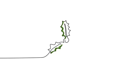 Continuous one single line of holy winter flower isolated on white background. Stock Footage 227573701