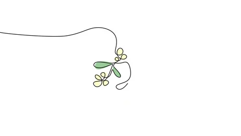 Continuous one single line of mistletoe winter flower Stock Footage 227573882