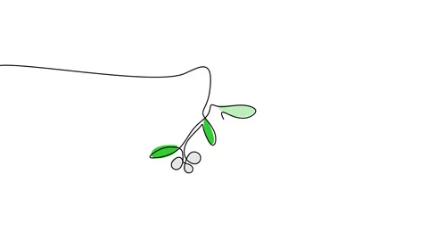 Continuous one single line of mistletoe winter flower Stock Footage 227574024