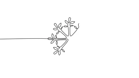 Continuous one single line of snowflake for christmas ornament Stock Footage 227578113