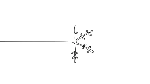 Continuous one single line of snowflake for christmas ornament decoration Stock Footage 227578704