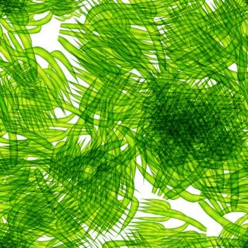 Continuous pattern with  bright seaweed Ilustração Stock
