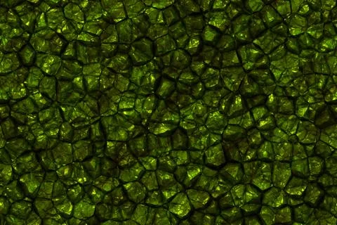 Continuous  pattern  of growing druzes 스톡 일러스트