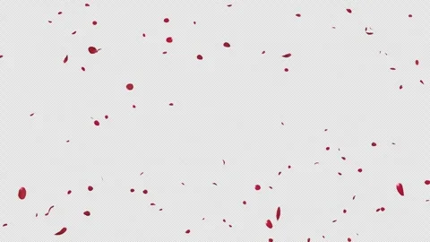 Continuous Red Rose Petals Falling Loop Stock Footage 314055203