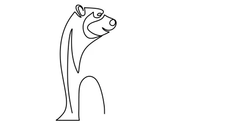 Continuous single line drawing of bear wild animals vector illustration. One han Stock Footage 144047427