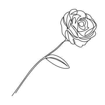 Continuous single line drawing of a rose Illustrazione stock
