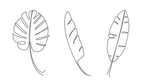 Continuous single line drawings of tropical leaves Stock-Illustration