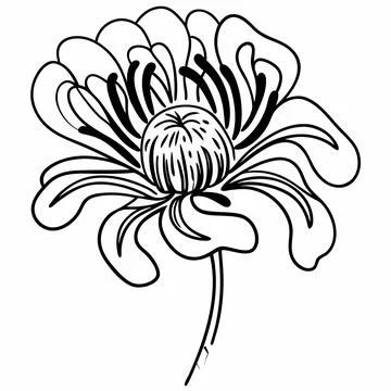 Continuous single line illustration of a flower bl Stock Illustration