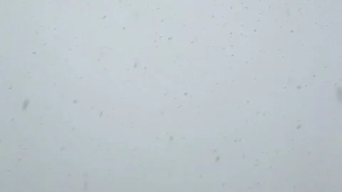 Continuous snowfall with dense white flakes against gray sky Stock Footage 311510723