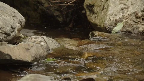 Continuous sound of a stream Stock Footage 279662676