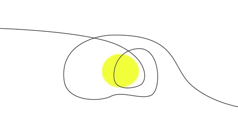 Continuous thin line egg drawing animation, Hand drawn animated lined egg shape Stock Footage 239338255