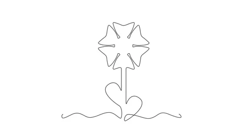 Continuous Thin Line Flower Drawing Animation, Minimalist Botanical Drawing Stock Footage 239338235