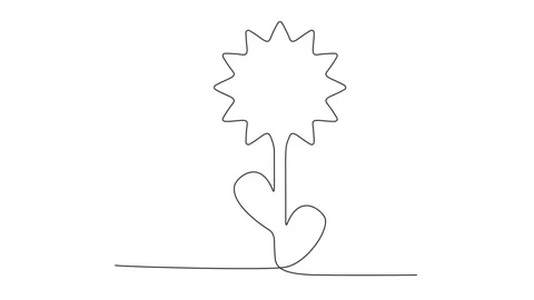 Continuous Thin Line Flower Drawing Animation, Minimalist Botanical Drawing Stock Footage 239338245