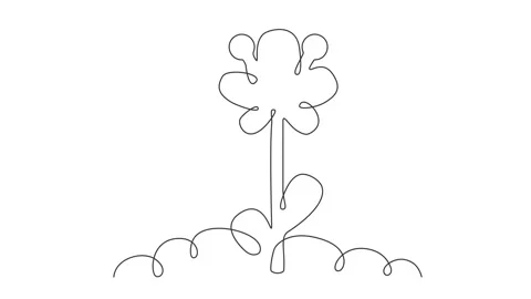 Continuous Thin Line Flower Drawing Animation, Minimalist Botanical Drawing Stock Footage 239338248