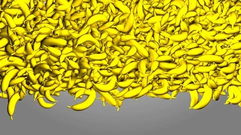 Continuous wall of falling bananas. unloading bananas. food background. Stock Footage 83162259