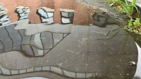 Continuous Water Ripples Distorting Building Reflection in Rain Puddle Vidéo 347290162