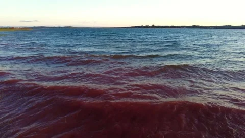 Continuous waves on the water surface of a dam Stock Footage 208893380