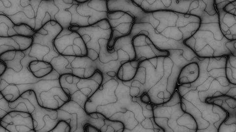 Continuously changing forms. Studying the microcosm of life. Stock Footage 309085551