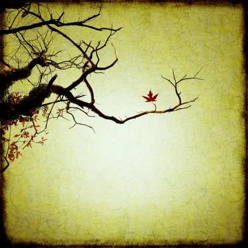 Contorted branches background Stock Illustration