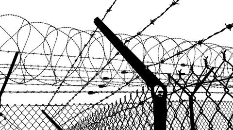 Contour of barbed wire on a white background Stock Illustration