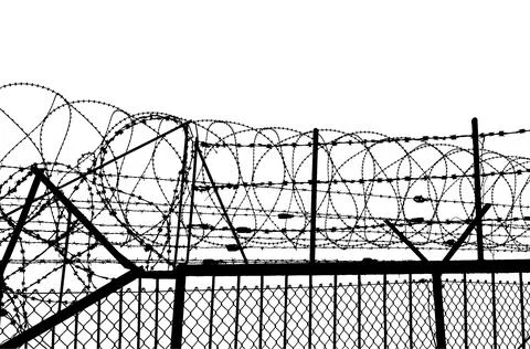 Contour of barbed wire on a white background Stock Illustration