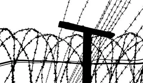 Contour of barbed wire on a white background Stock Illustration