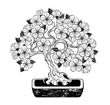 Contour bonsai cherry Stock Illustration