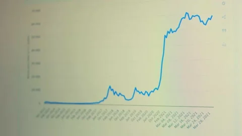 Contour effect of Financial template with generic data and charts. Animation Stock Footage 239993138