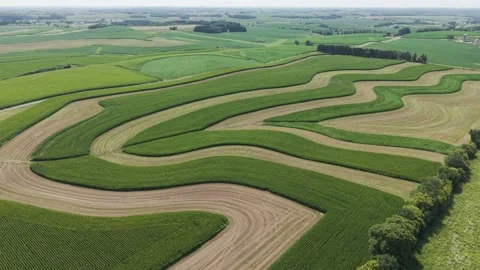 Contour Farming is a conservation practice that involves planting across a 스톡 동영상 345024823