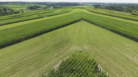 Contour Farming is a conservation practice that involves planting across a Stockbeeldmateriaal 345024830