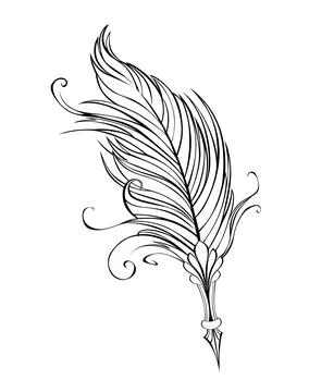 Contour feather pen Stock Illustration