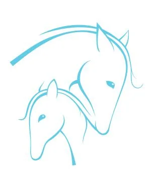 Contour of horses Stock Illustration