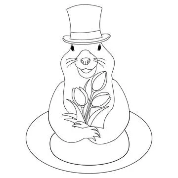 Contour image of groundhog in a hat with flowers bouquet coming out of a hole Stock Illustration