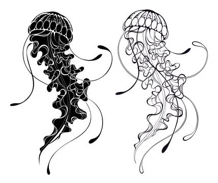 Contour jellyfish Stock Photos