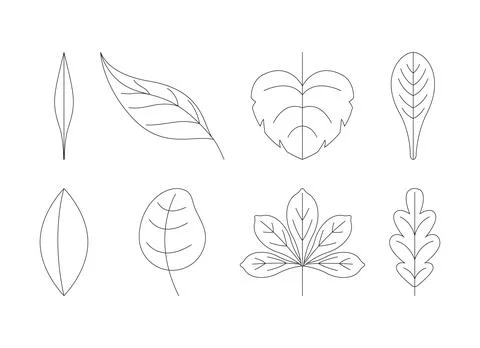 Contour leaves 2D line objects set Stock Illustration