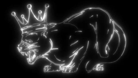Contour linear the wild puma Stock Footage 276229843