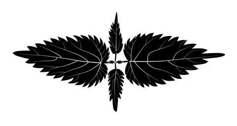 Contour nettle leaf without background for coloring Stock Illustration